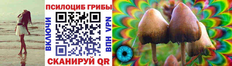 Галлюциногенные грибы GOLDEN TEACHER  mega tor  Светлоград 